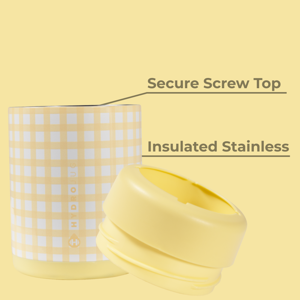 Sunny Sips Can Cooler 12oz Insulated Stainless with Screw Top